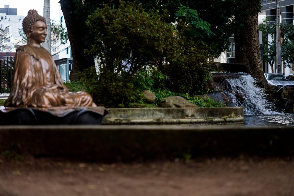 Uma estátua de bronze de Buda fica ao lado de um pequeno lago com uma cachoeira, cercada por árvores e vegetação em um ambiente urbano ao ar livre que lembra os bairros nobres de Curitiba.