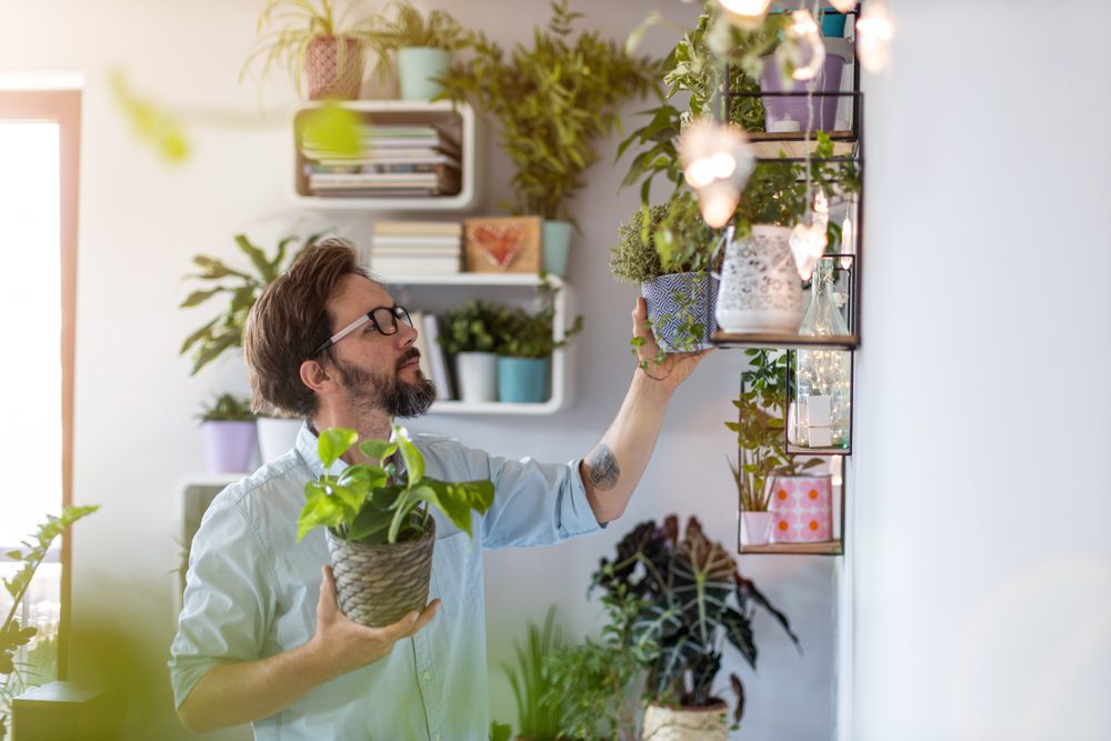 Um homem de &oacute;culos segura um vaso de planta enquanto arruma outra planta em uma prateleira de parede em uma sala iluminada, repleta de diversas plantas dom&eacute;sticas e livros. A luz natural entra por uma janela.