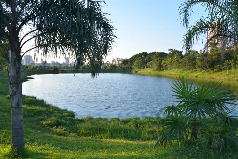 Imagem de um lago tranquilo no Parque Central da Vila Assunção, em Santo André, cercado por grama verde e árvores, com prédios da cidade ao longe, sob um céu azul límpido.