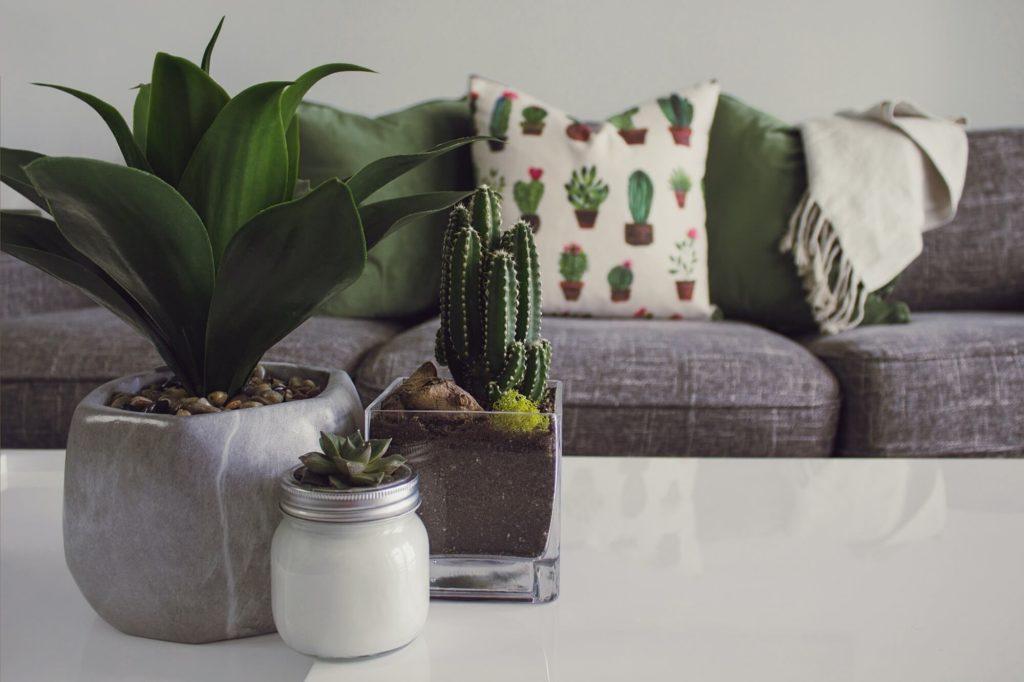 Uma mesa branca com vasos de plantas e um porta-velas em primeiro plano, com objetos de decoração para sala. Ao fundo, um sofá cinza adornado com uma manta e uma almofada com estampa de cactos.