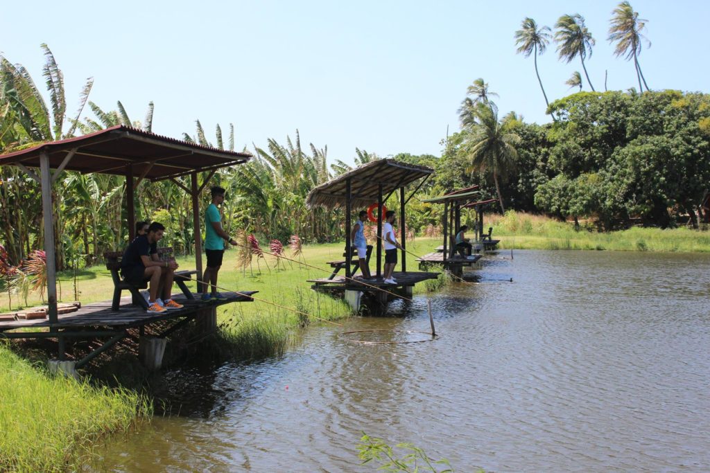 Quatro pessoas pescam em pequenas cabanas de madeira à beira de um lago calmo, cercado por vegetação exuberante e palmeiras altas sob um céu azul ensolarado, criando um cenário que lembra os parques de Fortaleza.