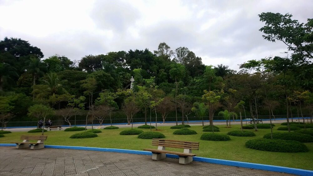 Um parque paisagístico com grama aparada, árvores pequenas, bancos de madeira e uma fileira de árvores altas ao fundo, sob um céu nublado. No Parque Chico Mendes São Caetano, uma estátua é parcialmente visível entre as árvores.