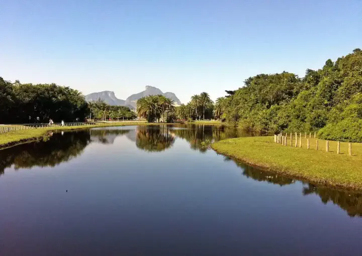 Imagem de um lago calmo no Bosque da Barra, no Rio de Janeiro, refletindo as árvores ao redor