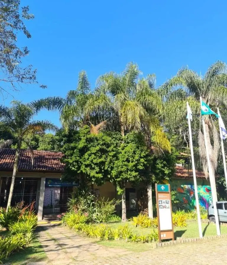Imagem de árvores no Parque Natural Municipal de Marapendi, no Rio de Janeiro