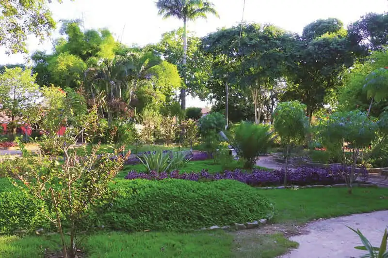 Imagem de um jardim verde e exuberanteno Horto de Itaipu, um parque em Niterói