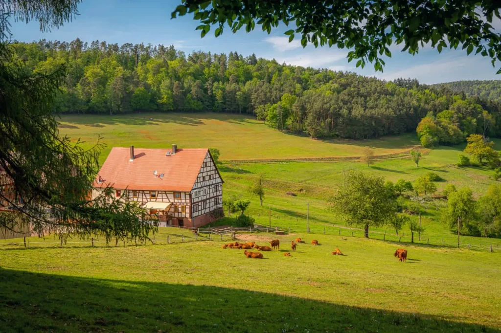 Imagem de uma casa de fazenda tradicional com telhado vermelho ao lado de um pasto gramado onde vacas marrons estão pastando, cercada por árvores verdes e colinas ondulantes para ilustrar matéria sobre o que é o CIB NIRF.
