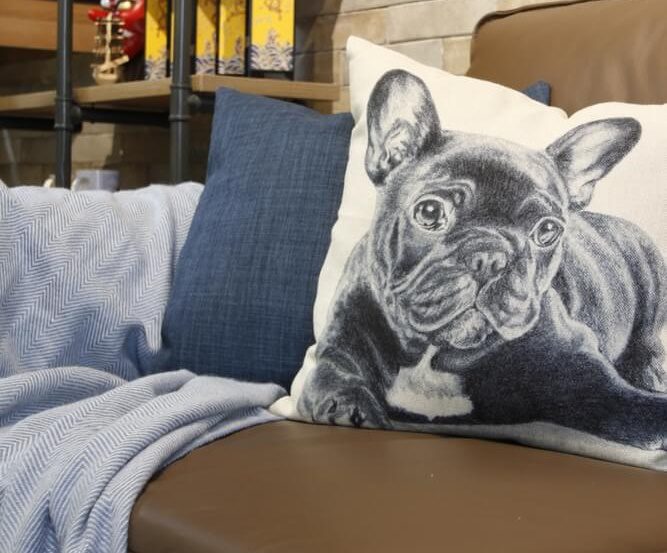 Um sofá com uma manta espinha de peixe azul, uma almofada azul e uma almofada decorativa com um buldogue francês preto e branco realista demonstra como decorar uma sala gastando pouco. Prateleiras com livros e enfeites completam o ambiente aconchegante.