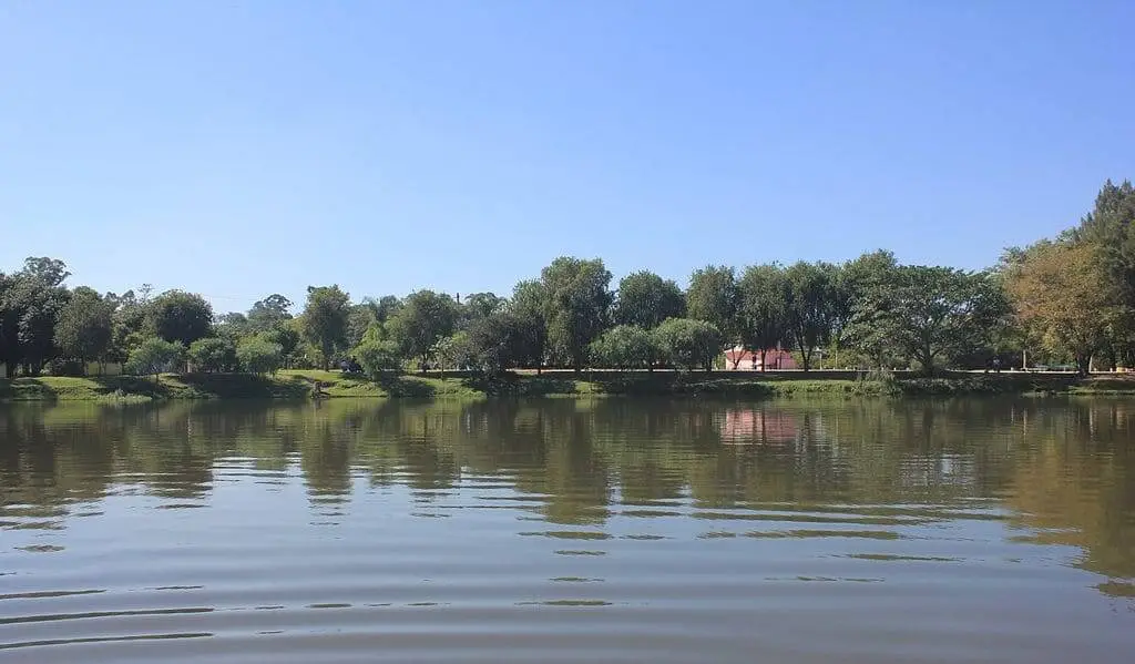 Imagem de um lago no Parque Ecológico do Tietê para ilustrar matéria sobre o melhor parque em SP