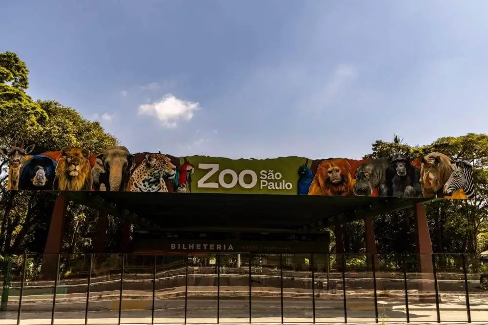 Imagem da entrada do Zoológico de São Paulo com uma grande placa com imagens de vários animais, incluindo leões, uma girafa, um papagaio e macacos sob um céu azul com árvores ao fundo
