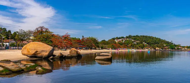 Imagem da água, pedra e vegetação na Ilha de Paquetá, no Rio de Janeiro