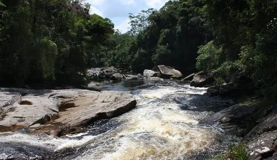 Imagem de um rio correndo sobre pedras no Parque das Neblinas, em Mogi das Cruzes