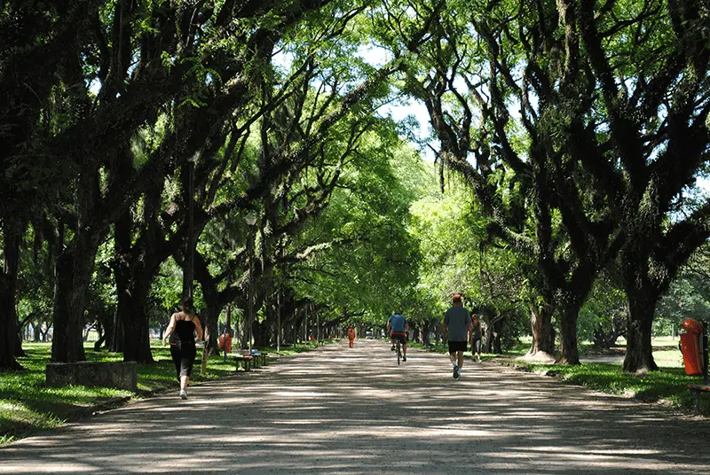 Imagem de pessoas correndo em pista cercada por árvores no Parque Marinha do Brasil, em Porto Alegre