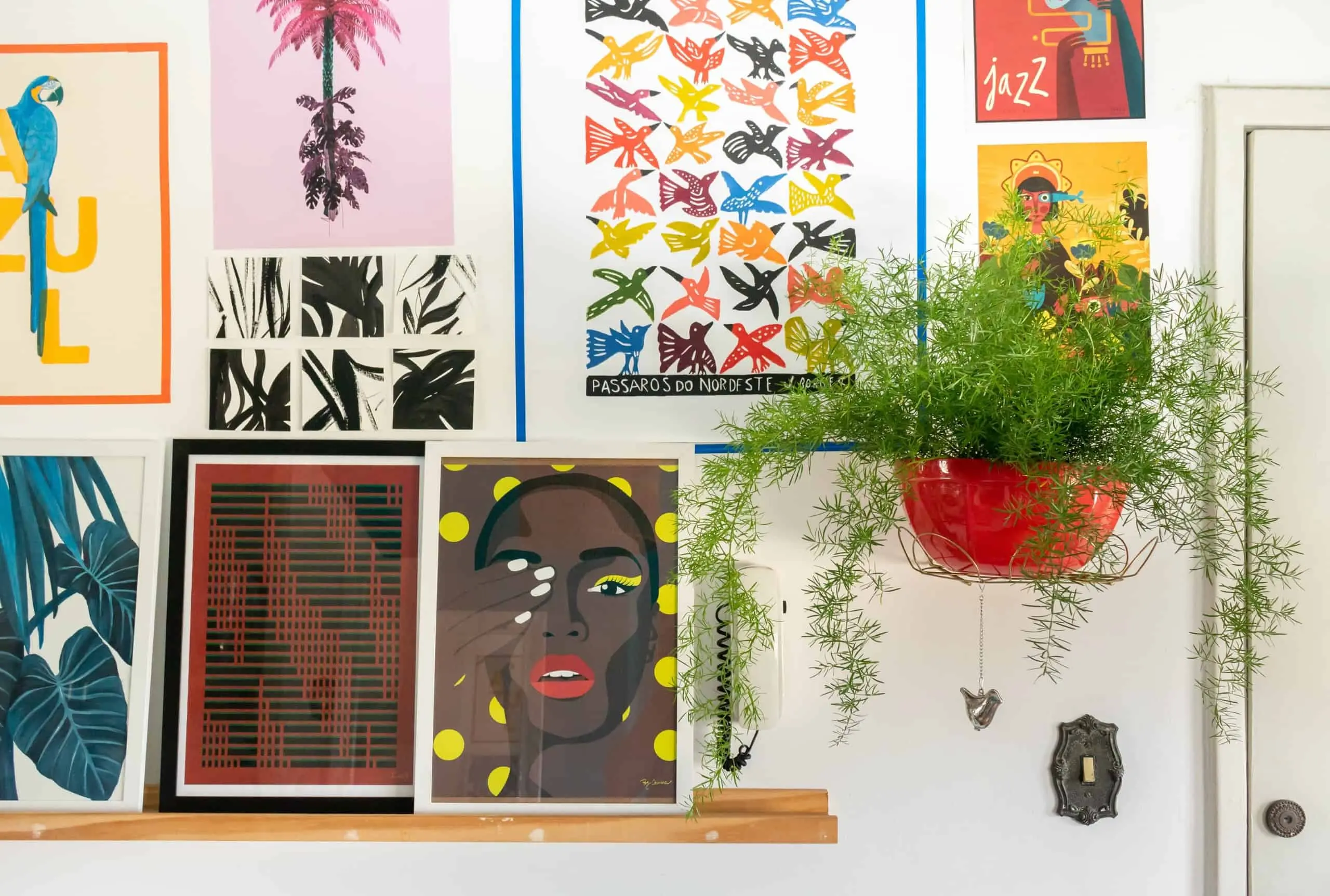 Uma parede colorida de galeria na Liberdade exibe obras de arte emolduradas, incluindo um papagaio, desenhos abstratos, um retrato de uma mulher e pássaros, com uma planta frondosa em um vaso vermelho pendurado nas proximidades.