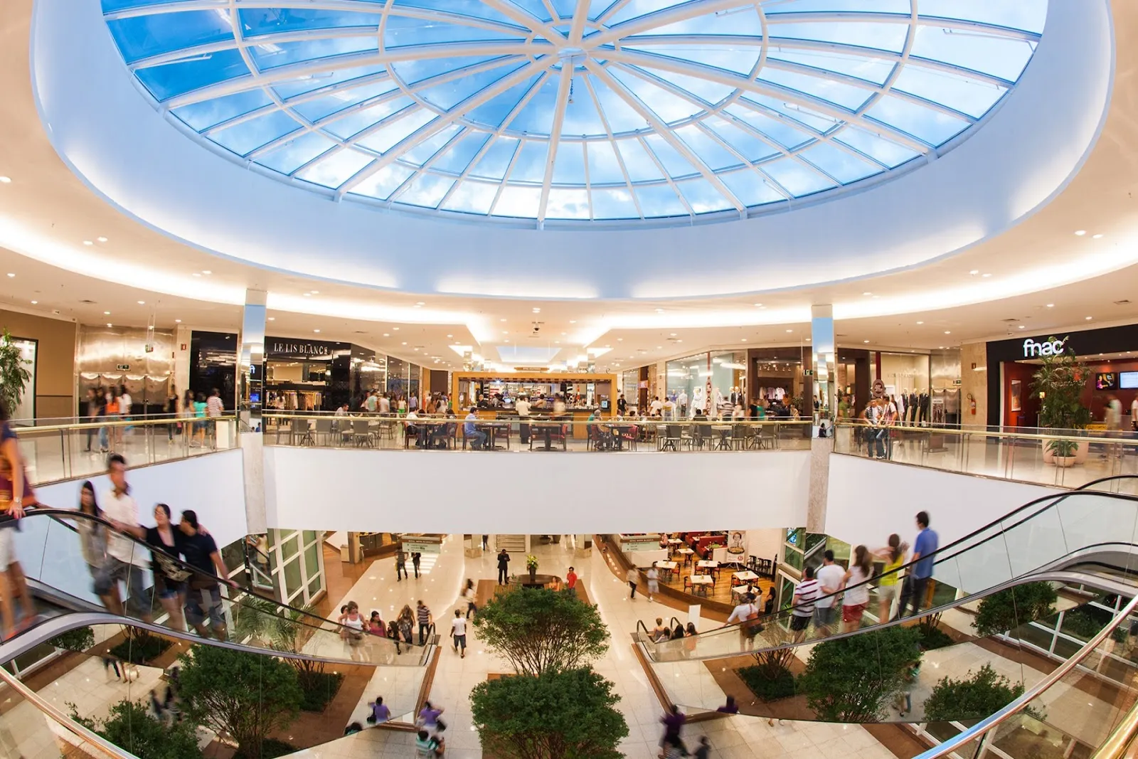 O interior de um moderno shopping center com dois andares, escadas rolantes, lojas e uma grande claraboia circular de vidro. Os clientes caminham e passeiam pelas lojas sob a luz natural do Ribeirão Shopping.