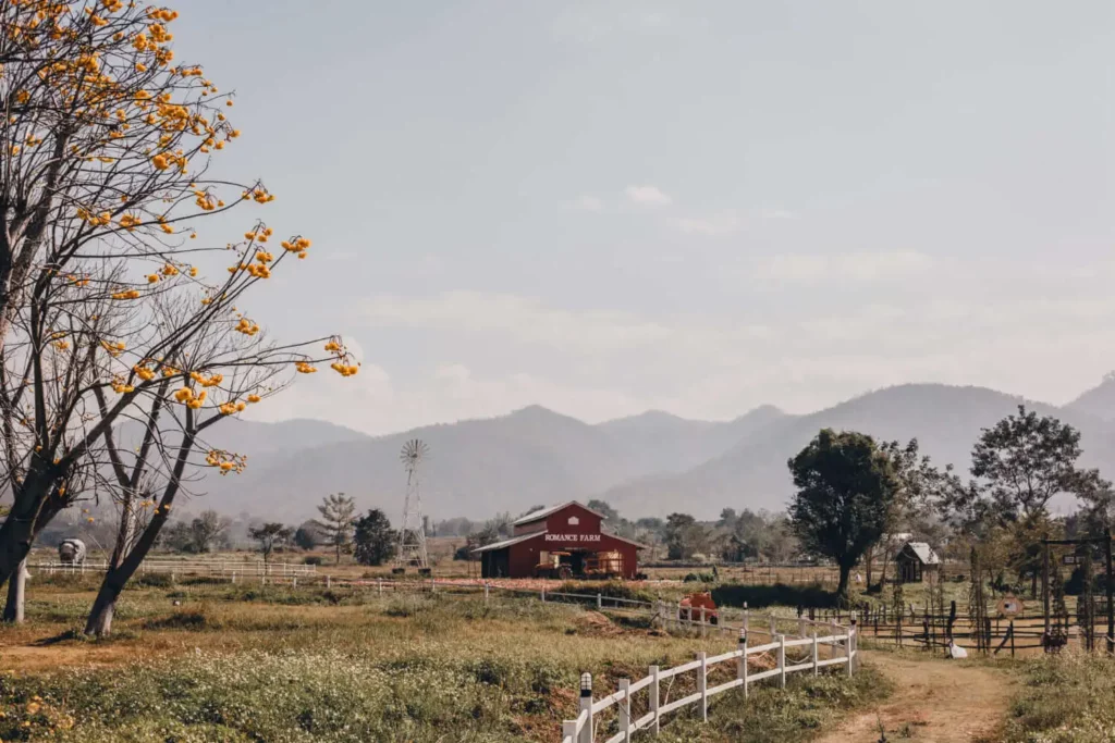 Imagem panorâmica de uma propriedade rural com árvores, gramado, cercas de madeira e um estábulo ao fundo para ilustrar matéria sobre sítio ou chácara