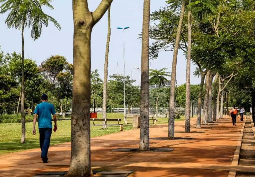 Imagem de pessoas caminhando no Parque da Juventude, em São Paulo