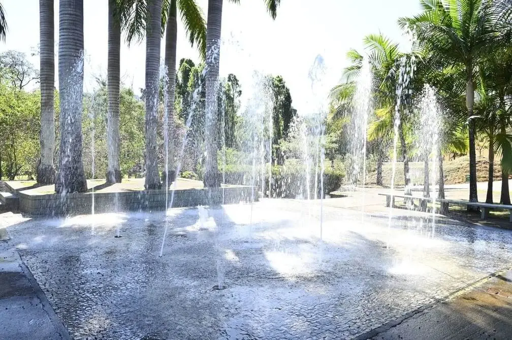 Uma fonte de água lança vários jatos de água para cima em uma área ao ar livre banhada pelo sol, cercada por palmeiras altas e vegetação exuberante — algo típico dos belos parques de Campinas.