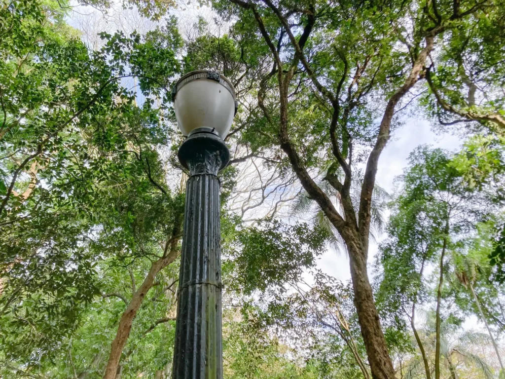 Imagem de um poste de luz alto e preto, em estilo vintage, fica entre árvores densas e verdes, com a luz do sol passando por entre as folhas e um céu claro visível ao fundo no Parque Trianon, em São Paulo