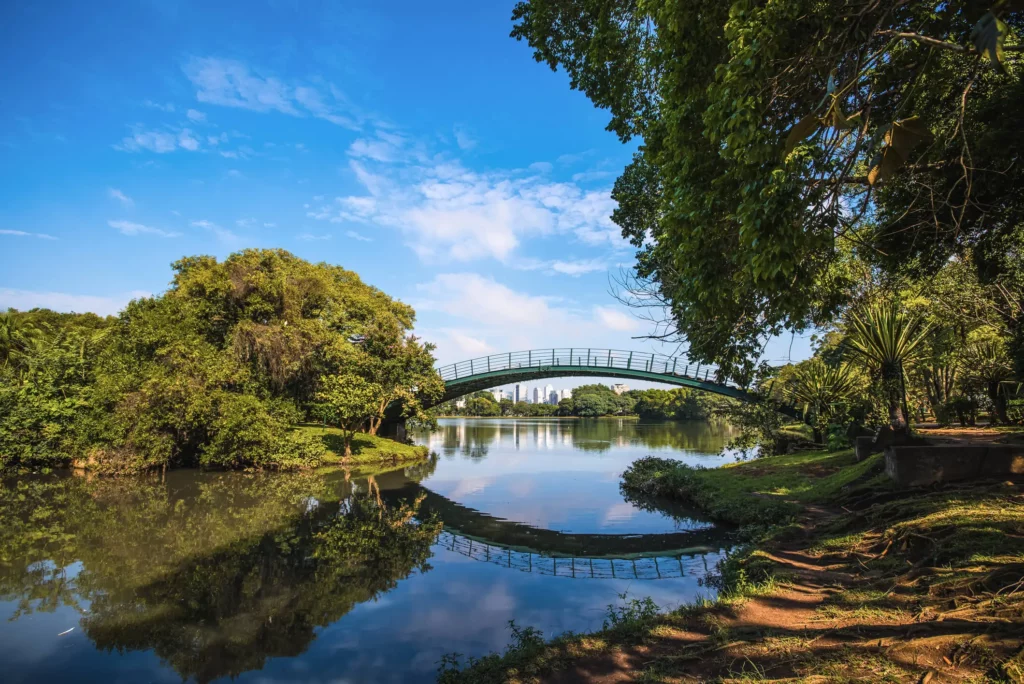 IImagem de uma ponte curva para pedestres no Parque Ibirapuera, em São Paulo, atravessa um lago calmo cercado por árvores verdes exuberantes, com o céu azul e as nuvens refletindo na água; os prédios da cidade são visíveis ao fundo
