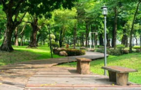 Imagem de um caminho de madeira com bancos serpenteia por um parque verde e exuberante, repleto de árvores, grama, arbustos e postes de luz em um dia ensolarado para ilustrar matéria sobre as praças de SP