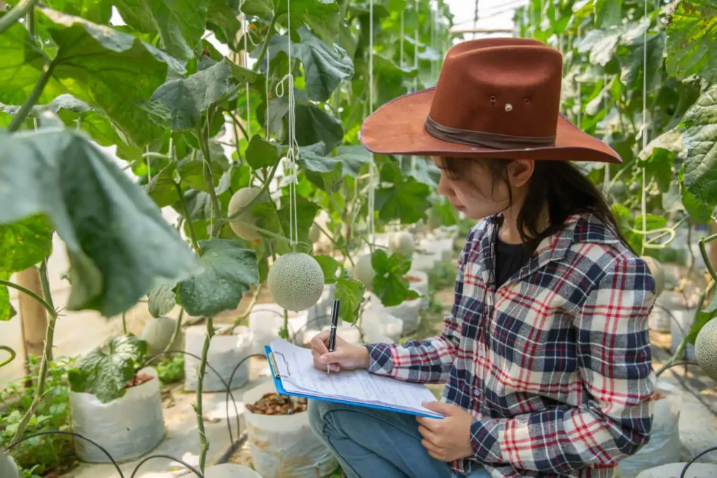Imagem de uma pessoa usando chapéu marrom e camisa xadrez escrevendo em uma prancheta enquanto inspeciona plantas em uma estufa cercada por plantas verdes e frutas penduradas.