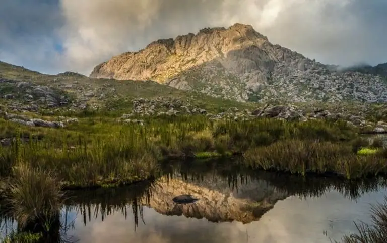 Imagem de vegetação e montanhas no Parque Nacional de Itatiaia
