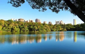 O lago calmo do Parque do Ingá, em Maringá, reflete árvores e edifícios da cidade ao longe sob um céu azul límpido, com galhos frondosos emoldurando a cena em primeiro plano.