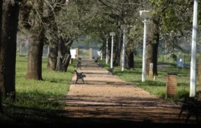 Um caminho ladeado por árvores e postes de iluminação, com vários bancos de parque espalhados ao longo do percurso.